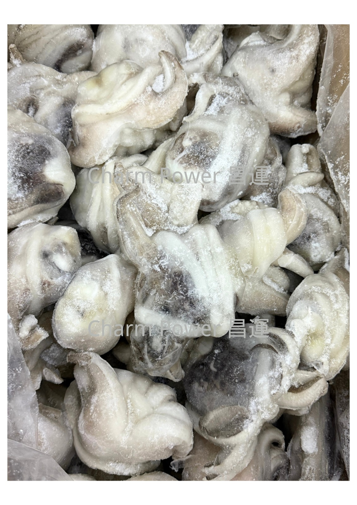 有皮墨魚頭IQF 1-2 4.4LB/ 餅 26.5 LBS/箱