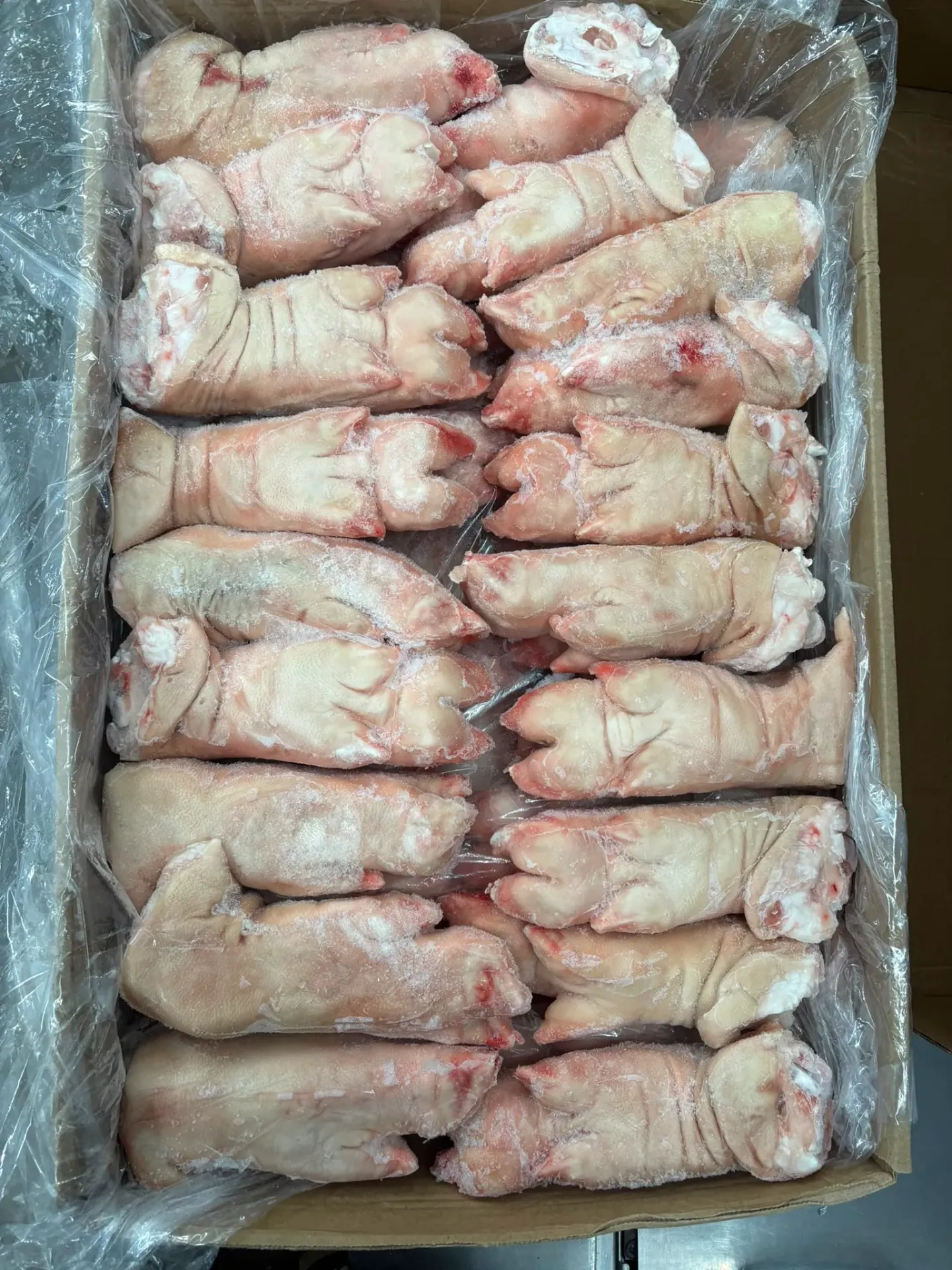 Brazil AURORA Pork Knuckle 22.1LB/Carton