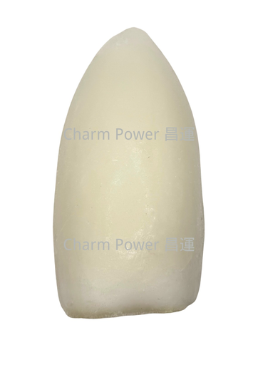 [OSCN000051] 中國 墨魚柳 4.4LBS/包 22.1 LB/箱