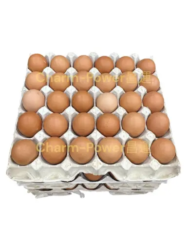 [CHCN001103] 黃雞蛋--（中國三級30隻/pack)