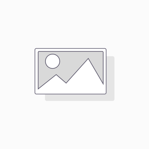 [POES005142] 西班牙 RIVASAM 豬四肉 抄碼
